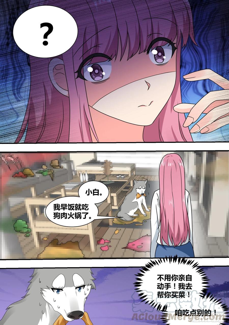 《直播：女神家的哈士奇天秀》22-拆家基因觉醒 第11页