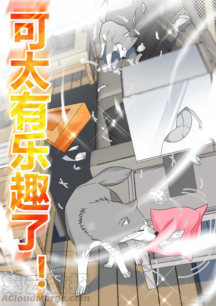 《直播：女神家的哈士奇天秀》22-拆家基因觉醒 第9页