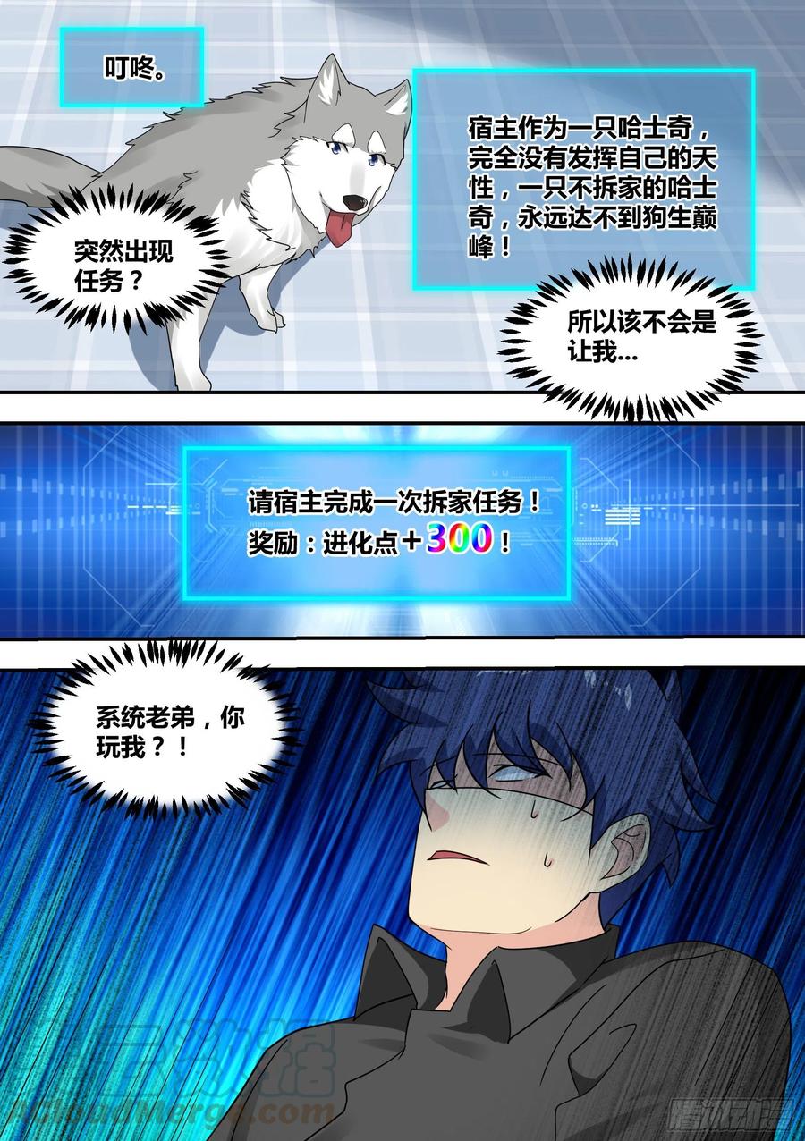 《直播：女神家的哈士奇天秀》22-拆家基因觉醒 第7页