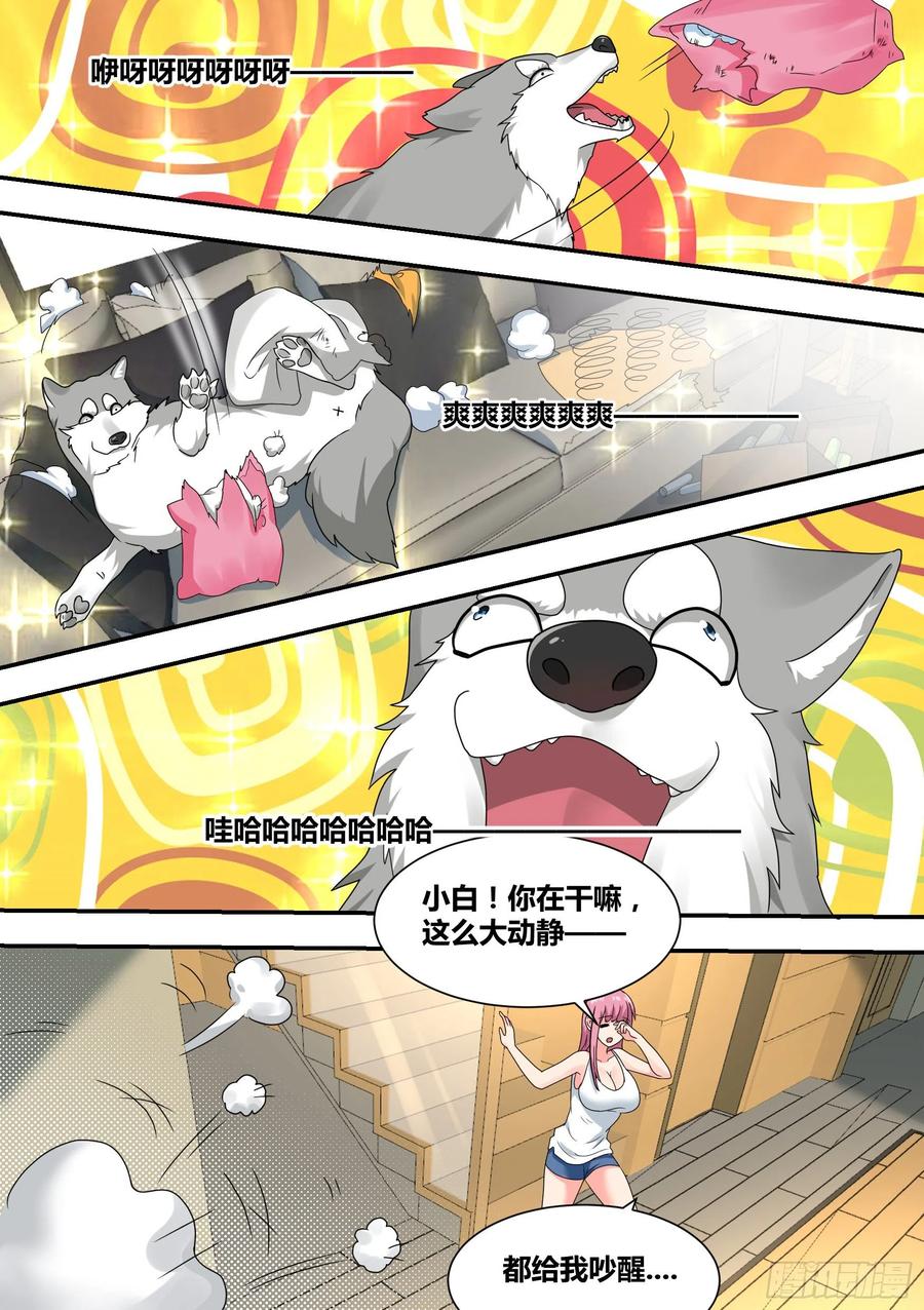 《直播：女神家的哈士奇天秀》22-拆家基因觉醒 第10页