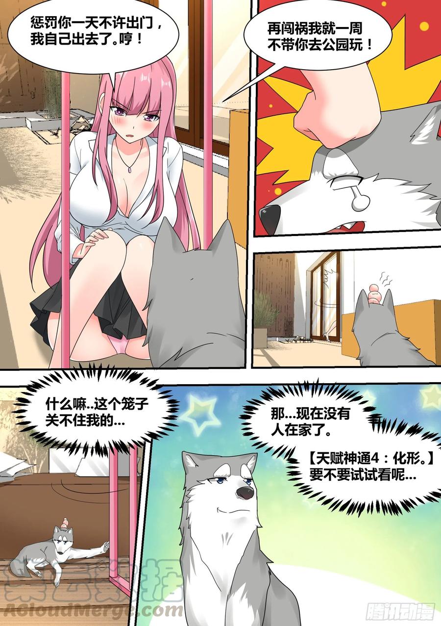 《直播：女神家的哈士奇天秀》23-化形 第3页