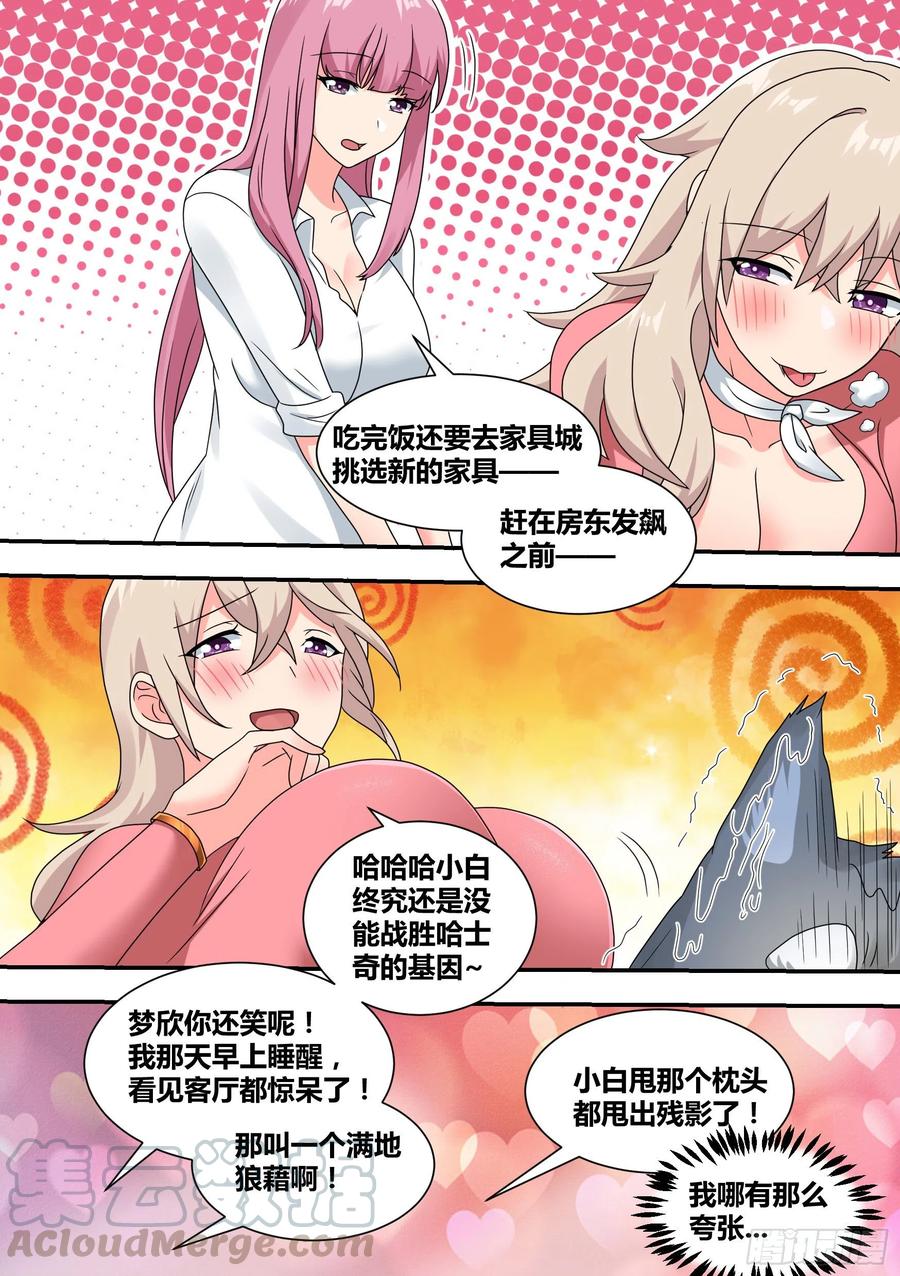 《直播：女神家的哈士奇天秀》23-化形 第17页