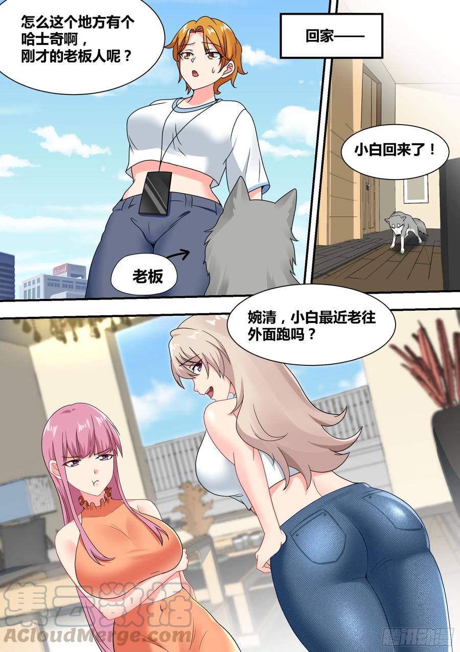 《直播：女神家的哈士奇天秀》27-和我拼火箭？ 第3页