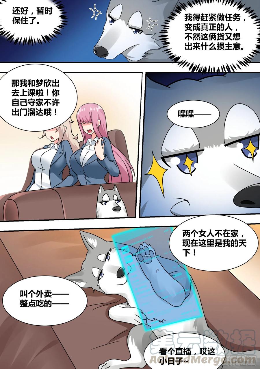 《直播：女神家的哈士奇天秀》27-和我拼火箭？ 第7页