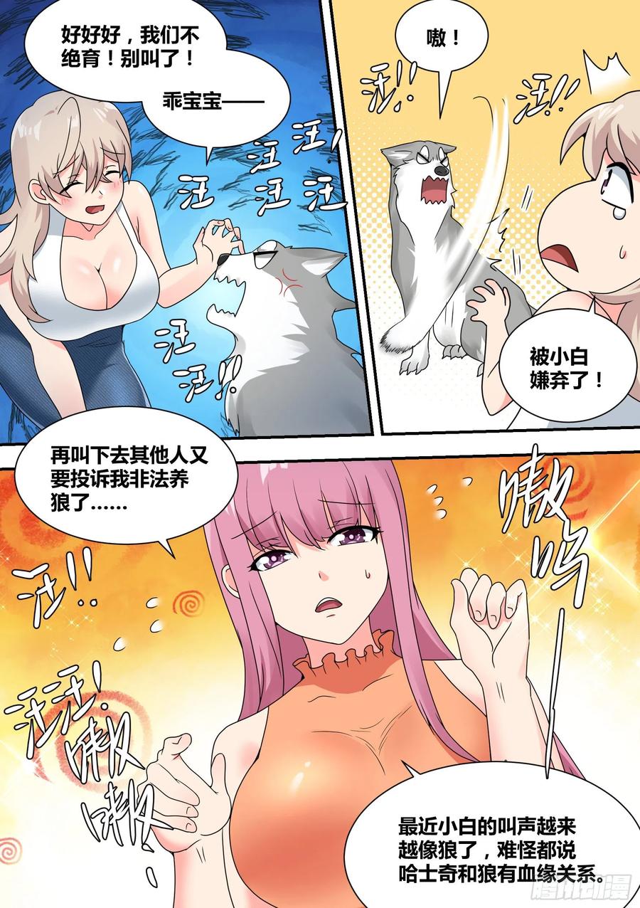 《直播：女神家的哈士奇天秀》27-和我拼火箭？ 第6页