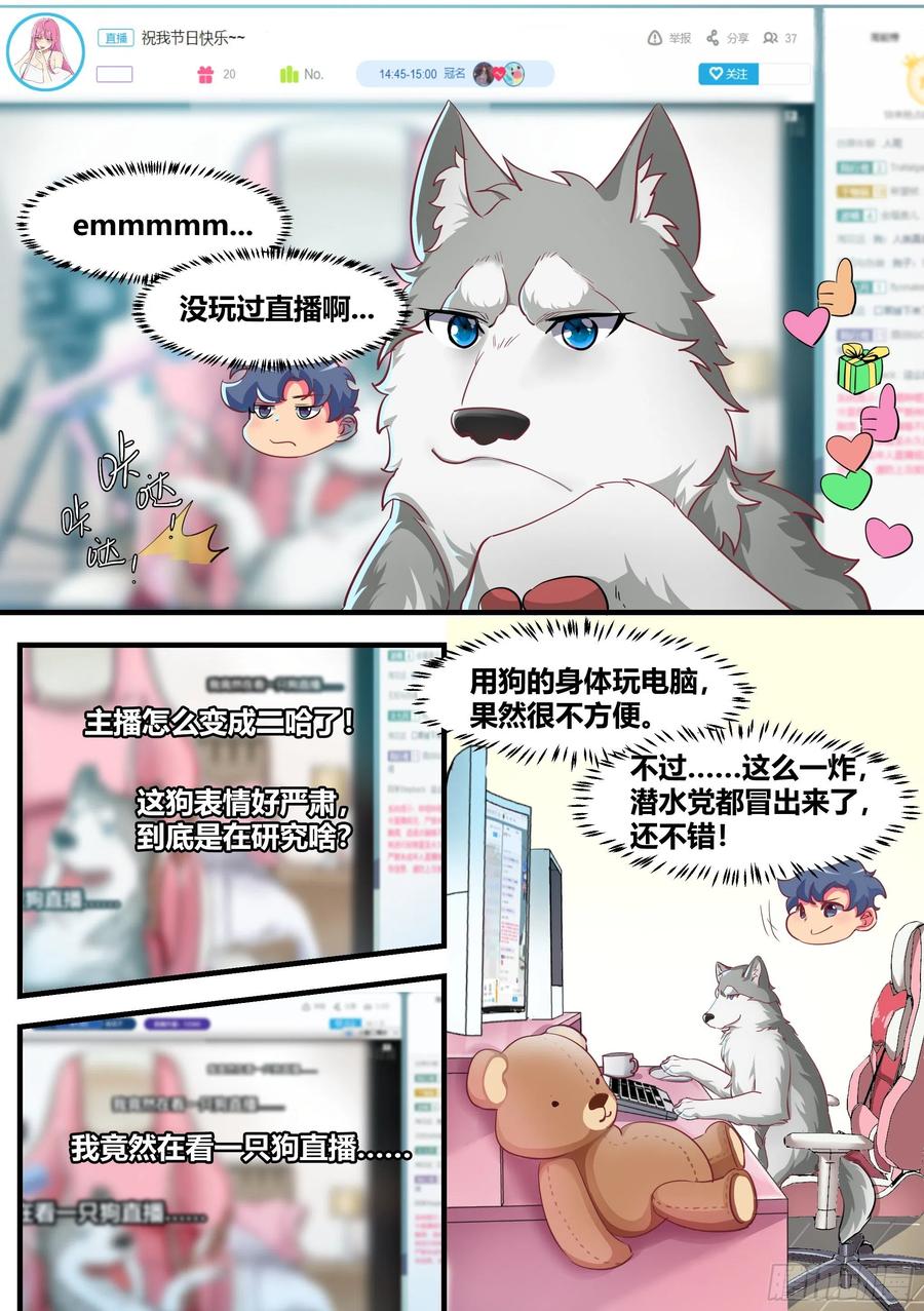 《直播：女神家的哈士奇天秀》2-“狗皇”诞生了！ 第4页