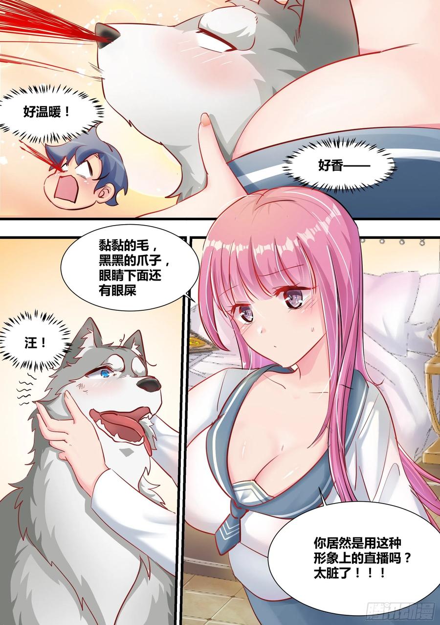 《直播：女神家的哈士奇天秀》2-“狗皇”诞生了！ 第12页