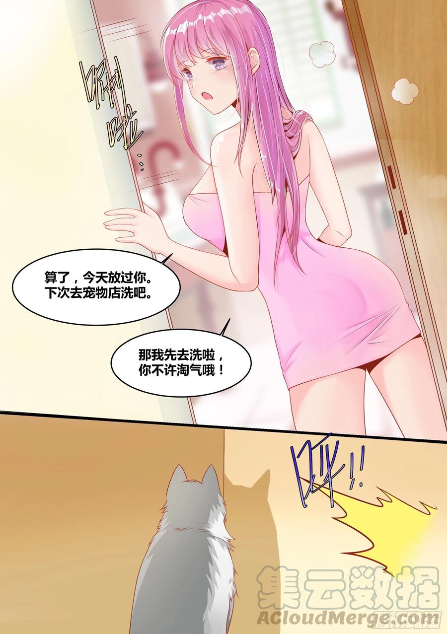 《直播：女神家的哈士奇天秀》2-“狗皇”诞生了！ 第15页