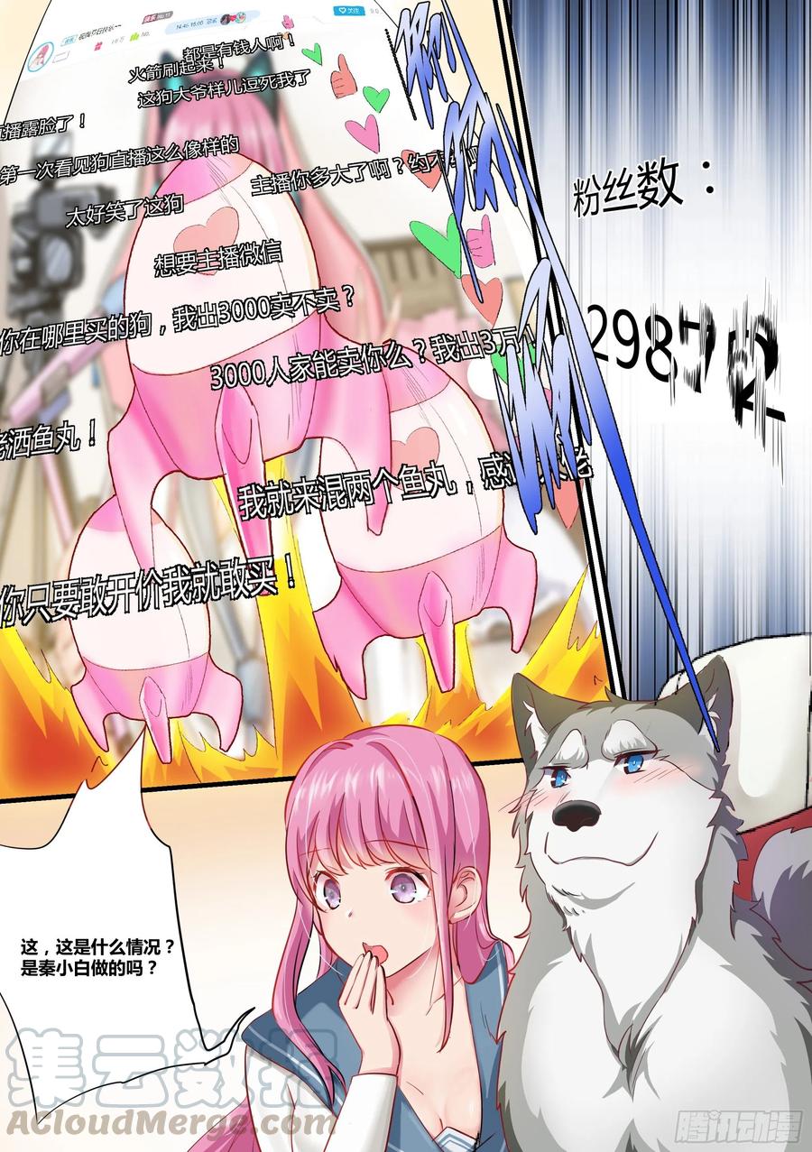 《直播：女神家的哈士奇天秀》2-“狗皇”诞生了！ 第7页