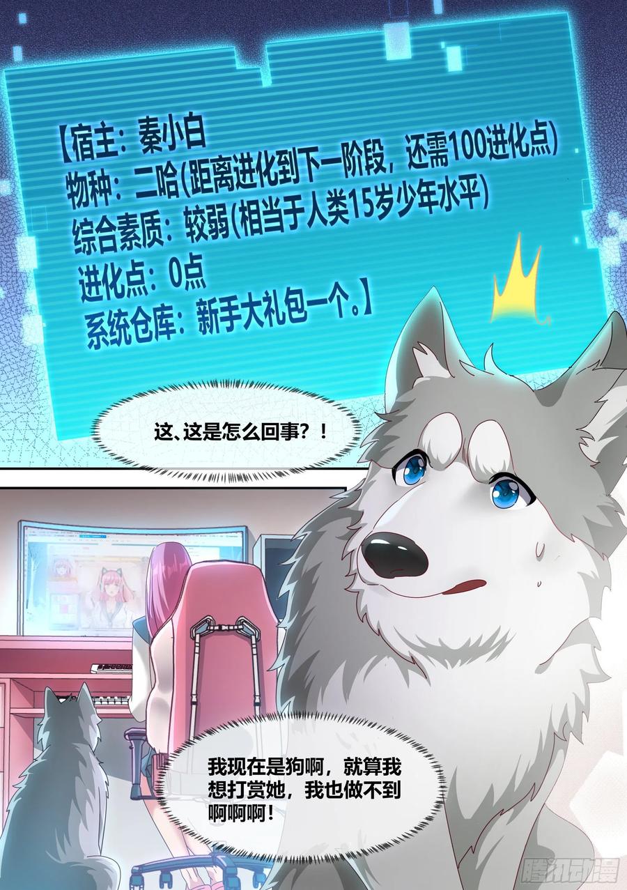 《直播：女神家的哈士奇天秀》2-“狗皇”诞生了！ 第2页