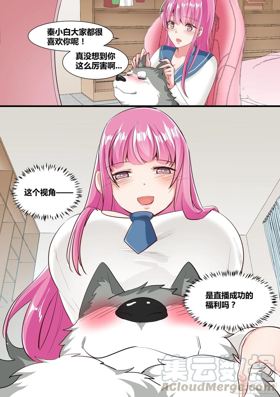 《直播：女神家的哈士奇天秀》2-“狗皇”诞生了！ 第9页
