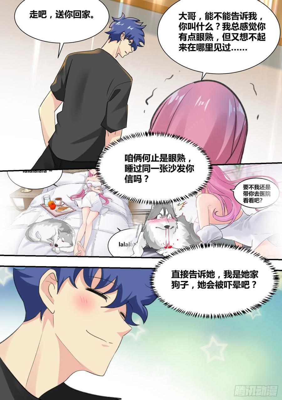 《直播：女神家的哈士奇天秀》31-有意义的事… 第4页