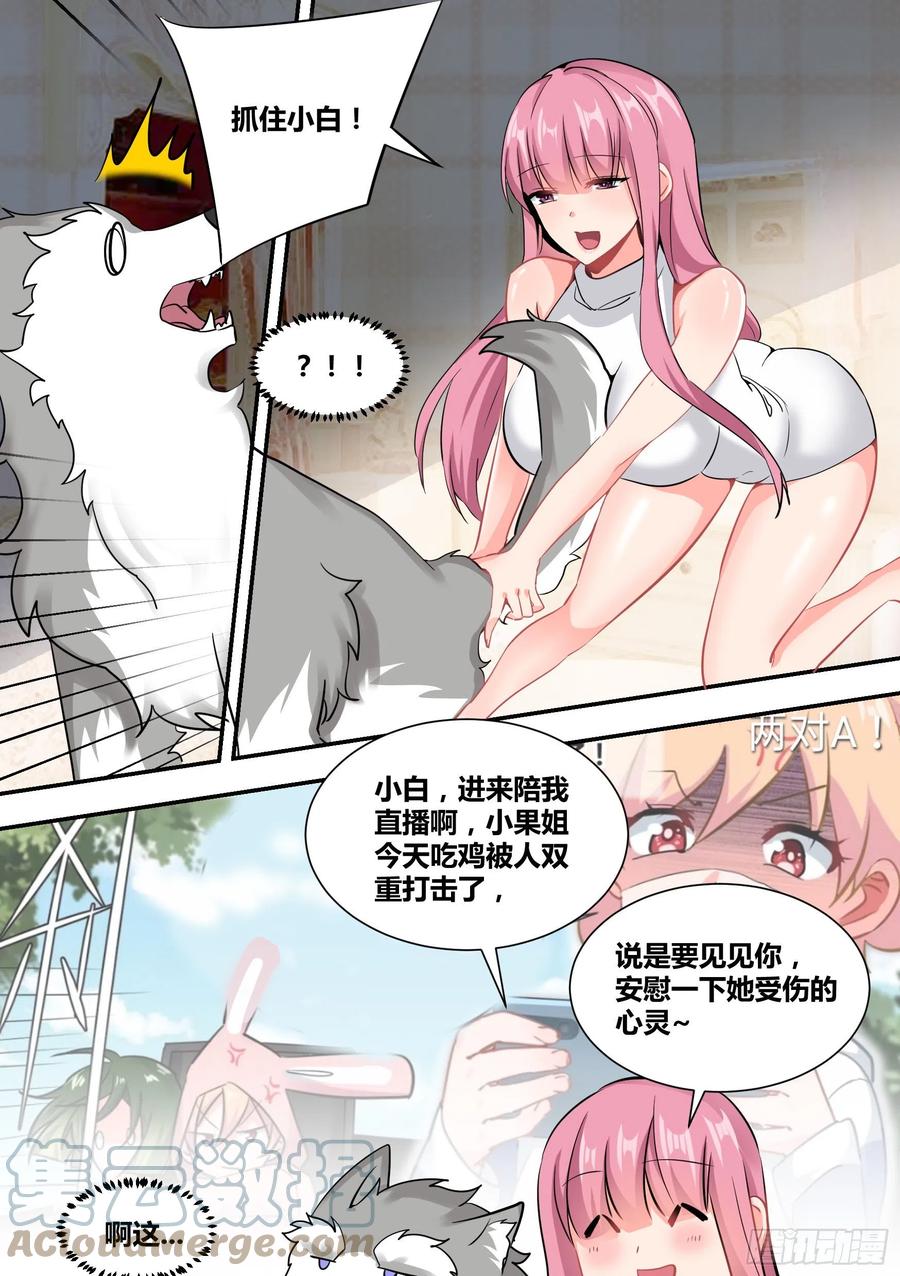 《直播：女神家的哈士奇天秀》35-女人的怒火 第5页