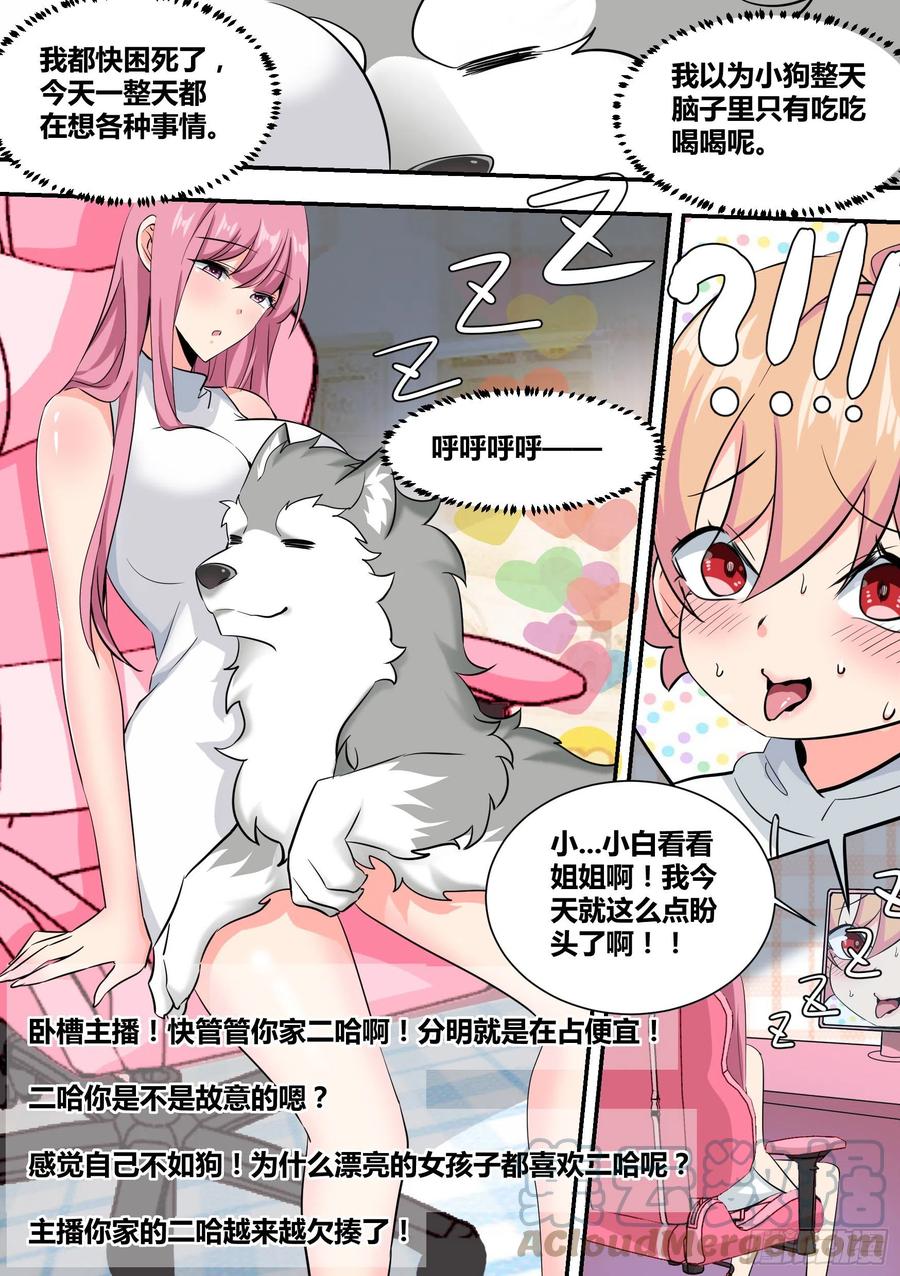 《直播：女神家的哈士奇天秀》35-女人的怒火 第7页