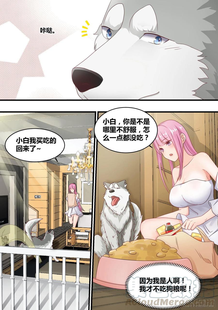 《直播：女神家的哈士奇天秀》3-欺负我的人，你凉了 第3页