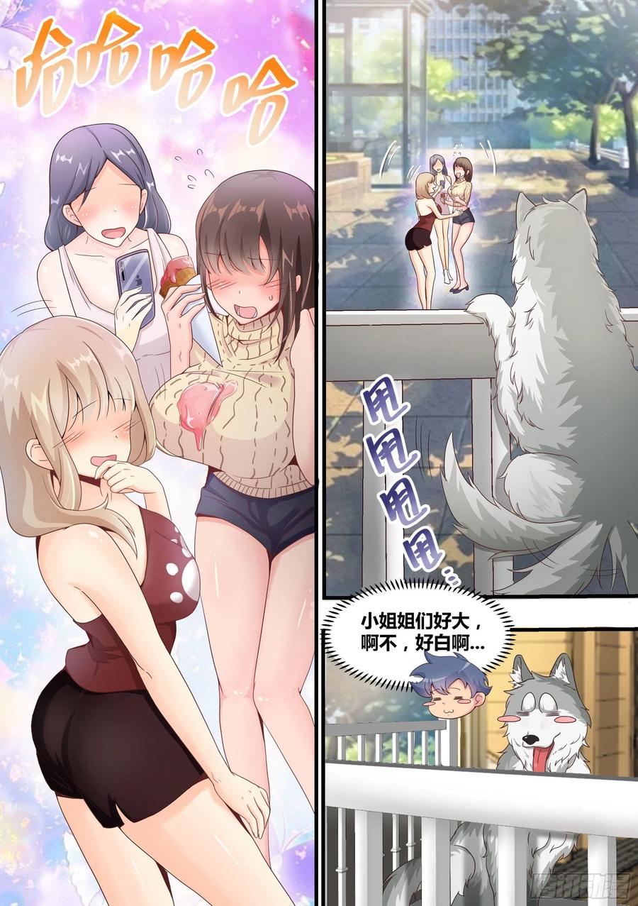 《直播：女神家的哈士奇天秀》3-欺负我的人，你凉了 第2页