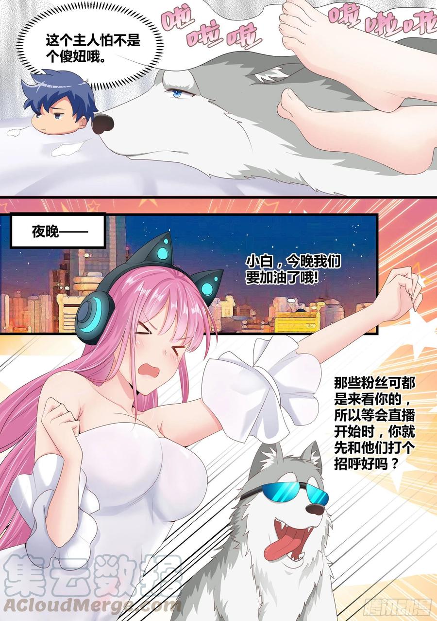 《直播：女神家的哈士奇天秀》3-欺负我的人，你凉了 第7页