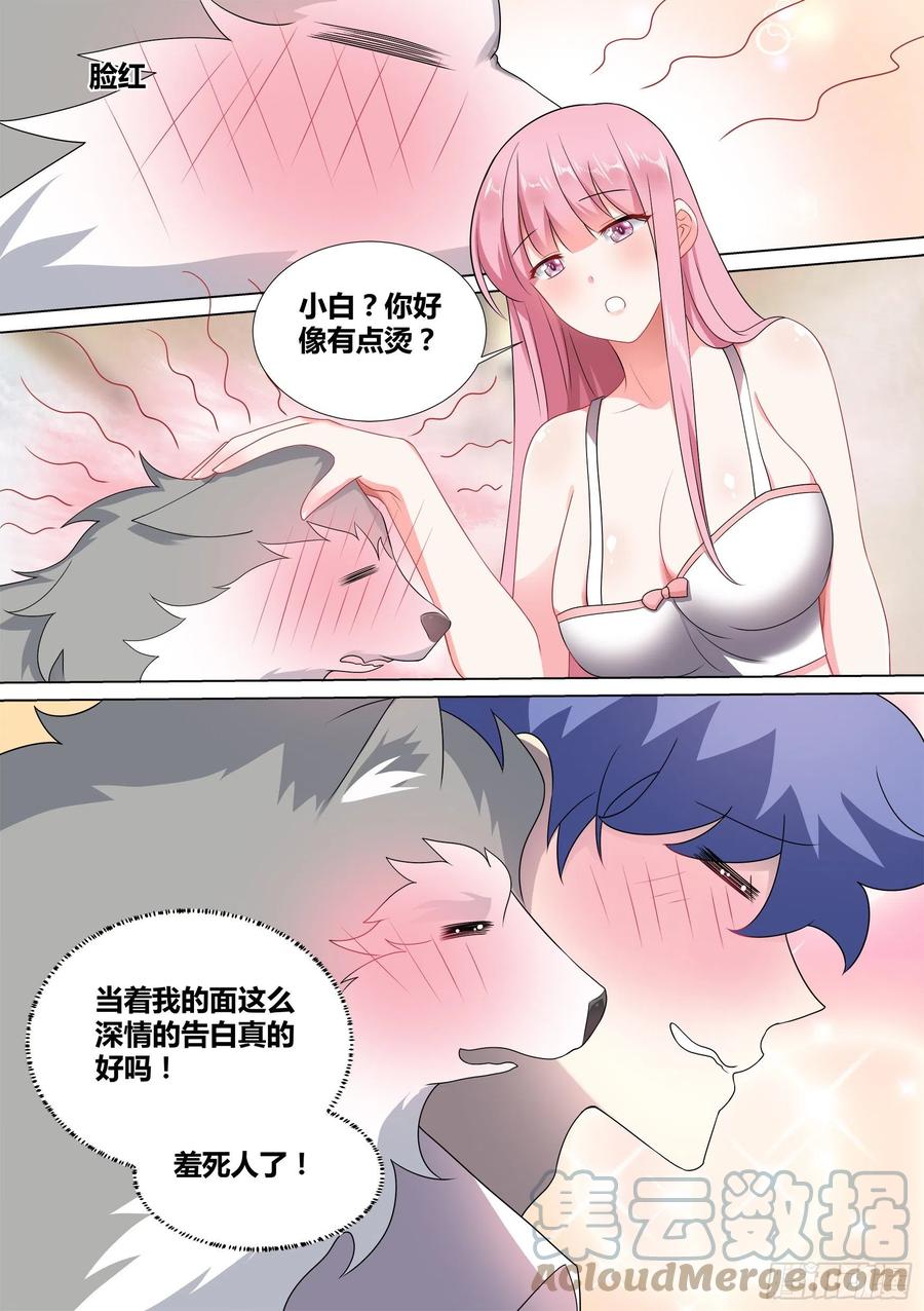 《直播：女神家的哈士奇天秀》45-扑通扑通少女心 第9页