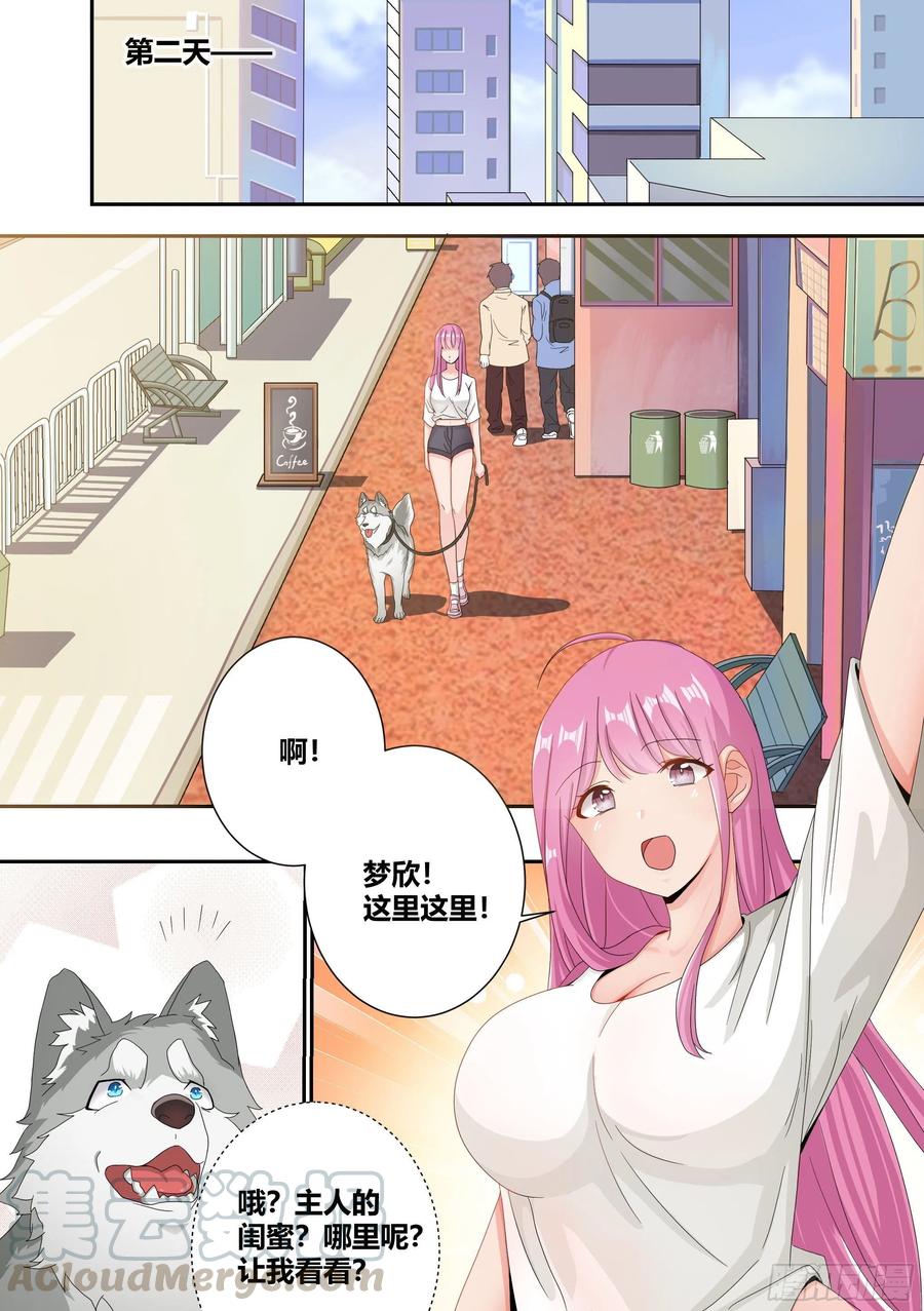《直播：女神家的哈士奇天秀》4-美女的闺蜜也是美女 第9页