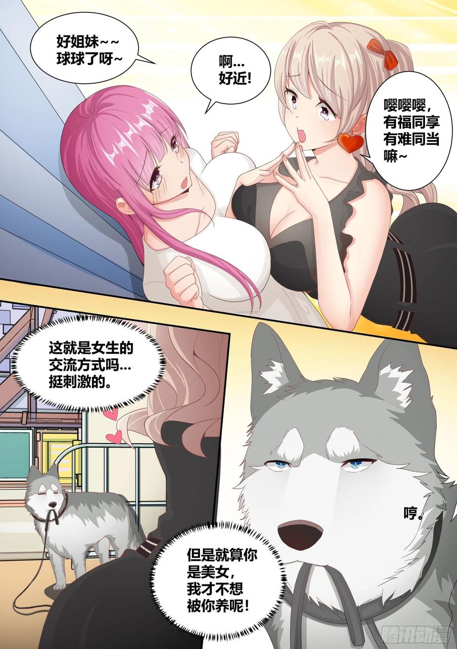 《直播：女神家的哈士奇天秀》4-美女的闺蜜也是美女 第16页