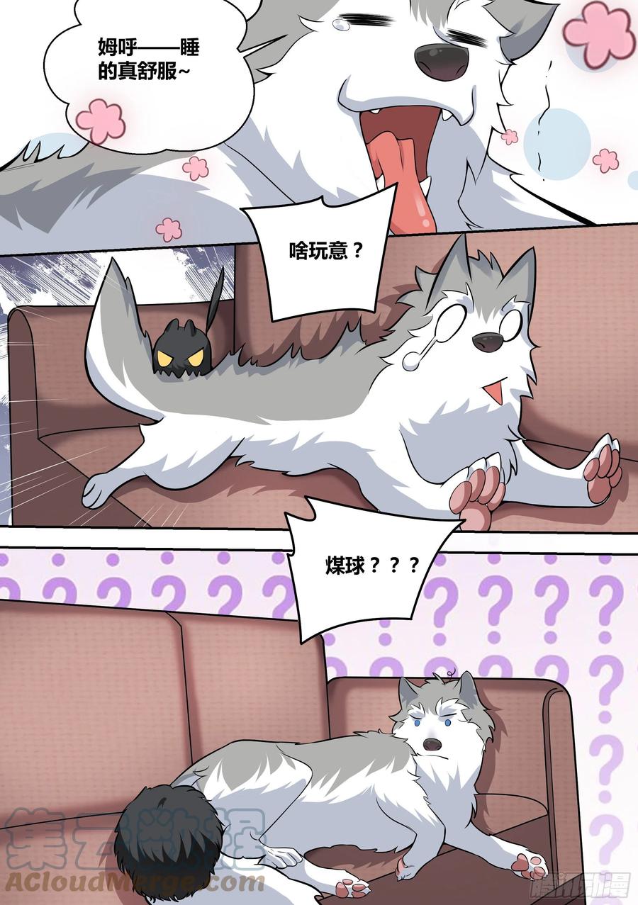 《直播：女神家的哈士奇天秀》49-小白VS黑炭 第5页