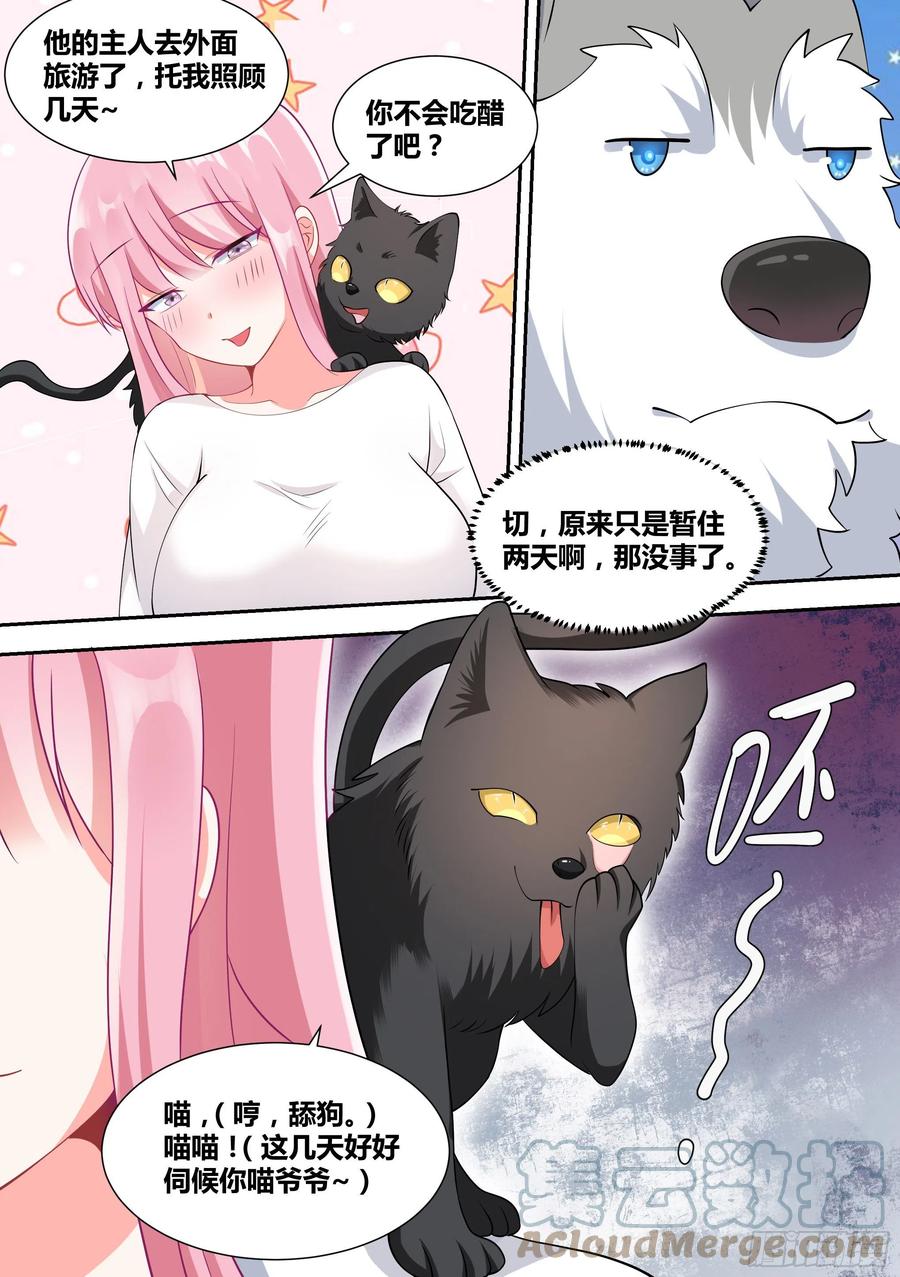 《直播：女神家的哈士奇天秀》49-小白VS黑炭 第7页