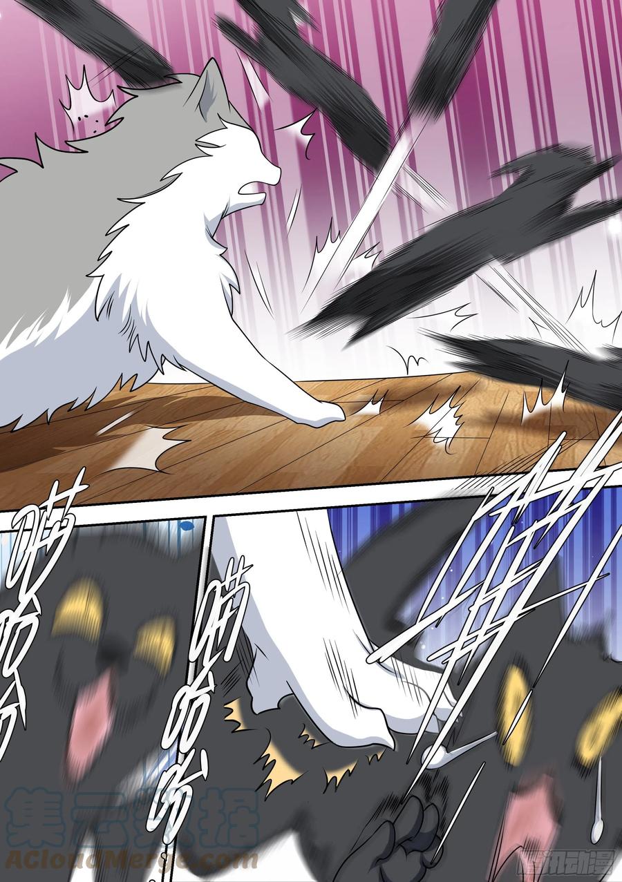 《直播：女神家的哈士奇天秀》49-小白VS黑炭 第9页
