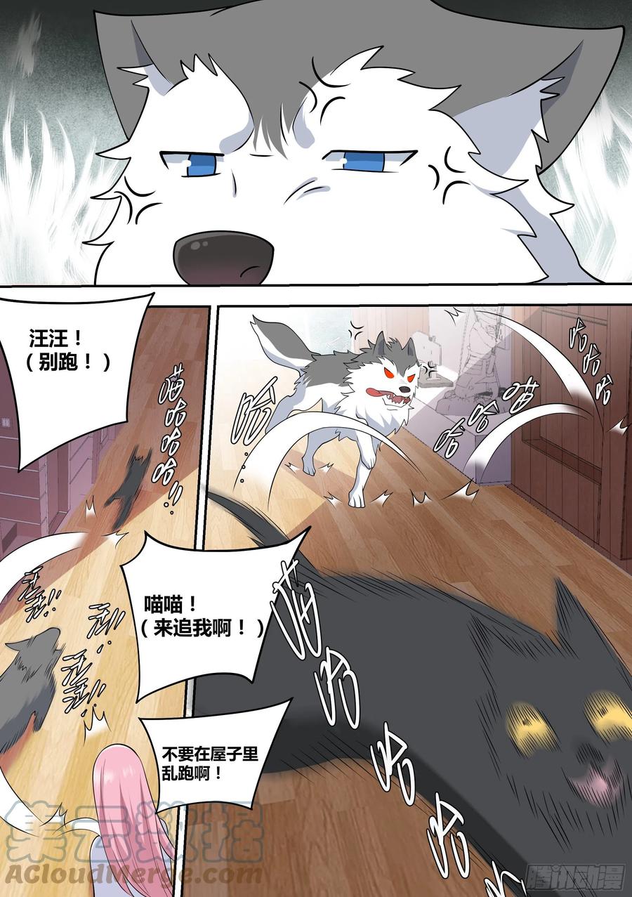 《直播：女神家的哈士奇天秀》49-小白VS黑炭 第8页