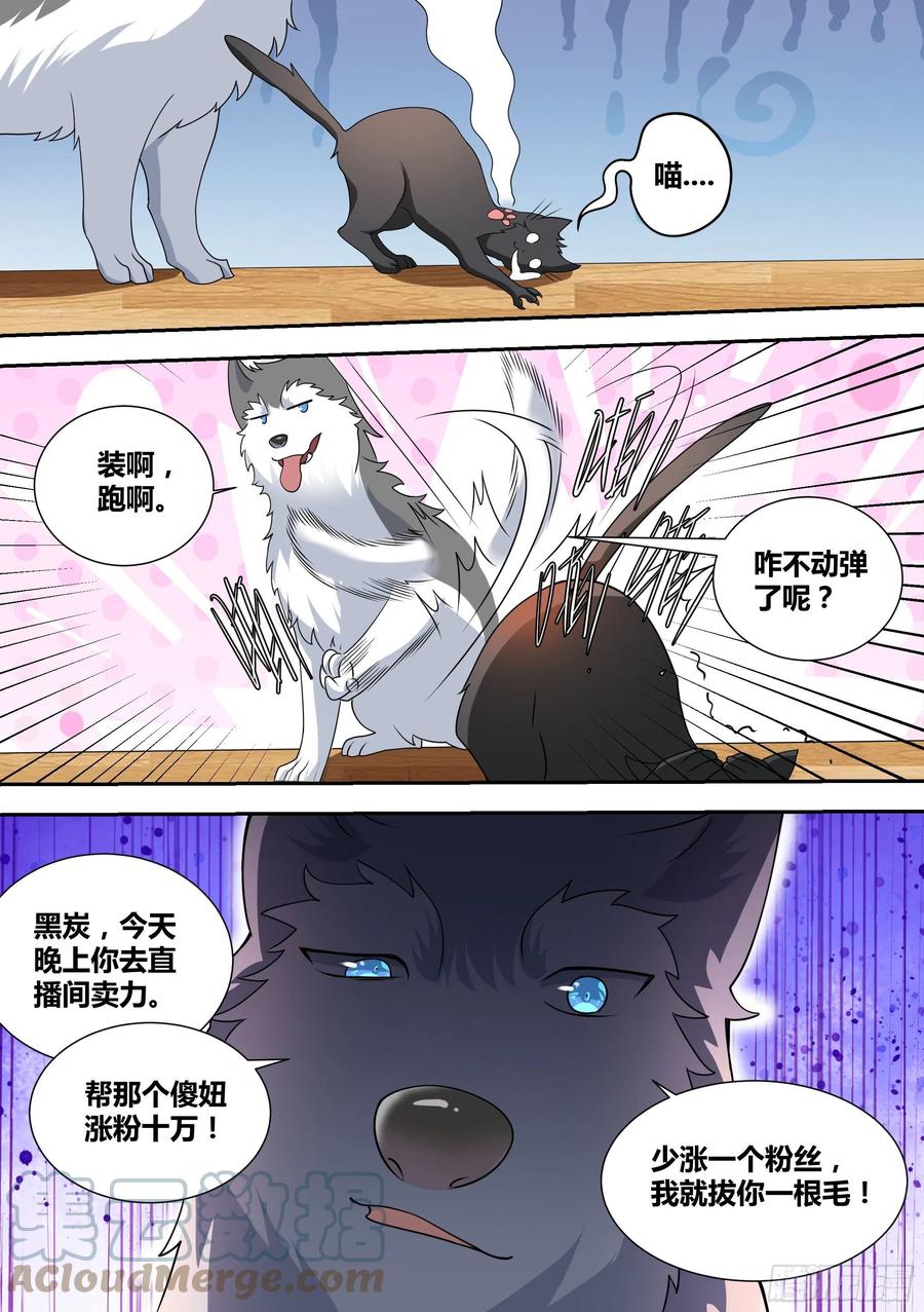 《直播：女神家的哈士奇天秀》49-小白VS黑炭 第10页