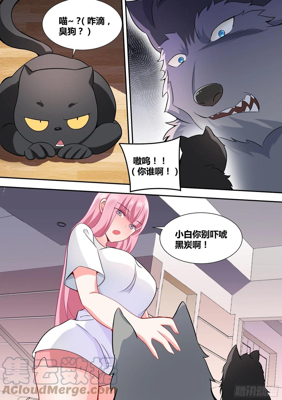 《直播：女神家的哈士奇天秀》49-小白VS黑炭 第6页