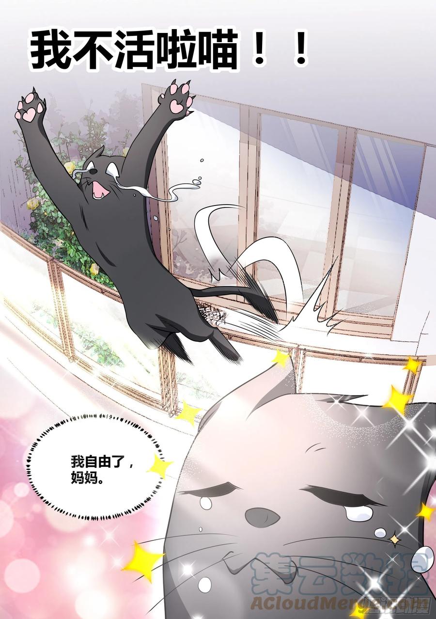 《直播：女神家的哈士奇天秀》50-招财“黑炭” 第6页