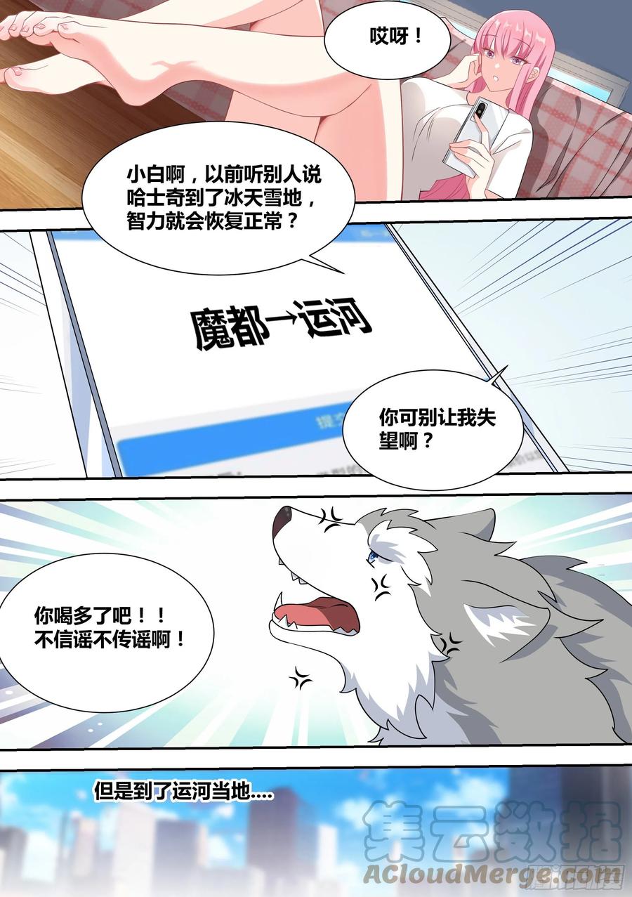 《直播：女神家的哈士奇天秀》52-牛牛黑炭 第11页