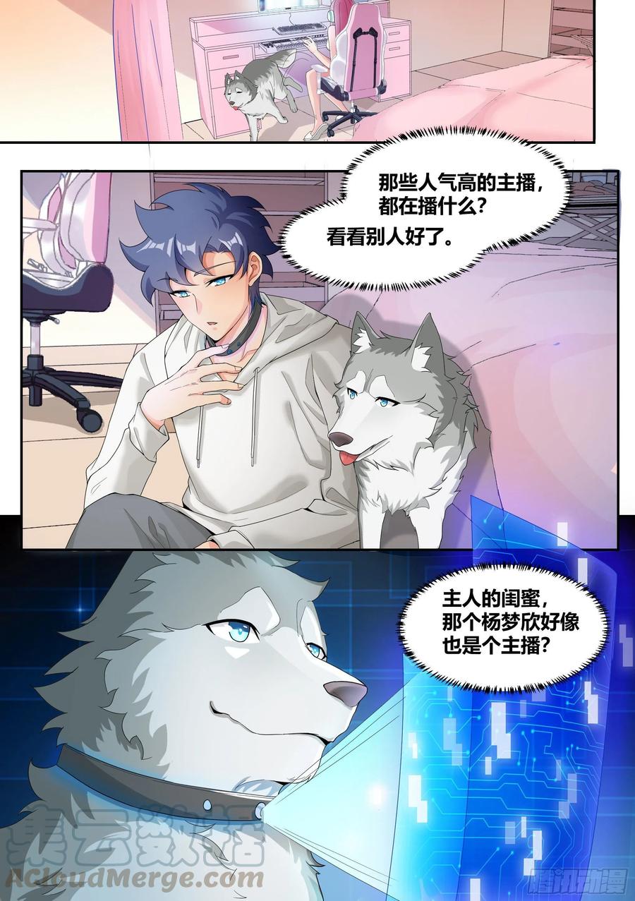 《直播：女神家的哈士奇天秀》5-父皇，加个微信 第3页