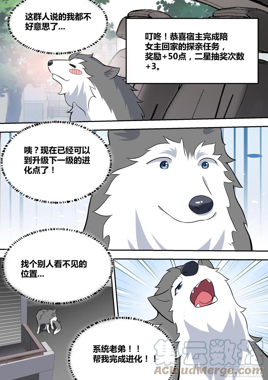 《直播：女神家的哈士奇天秀》63-回家探亲 第12页