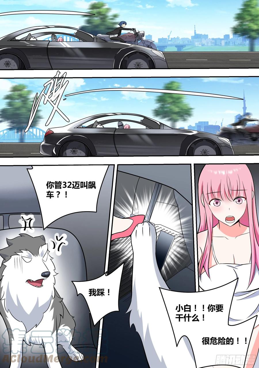 《直播：女神家的哈士奇天秀》63-回家探亲 第5页