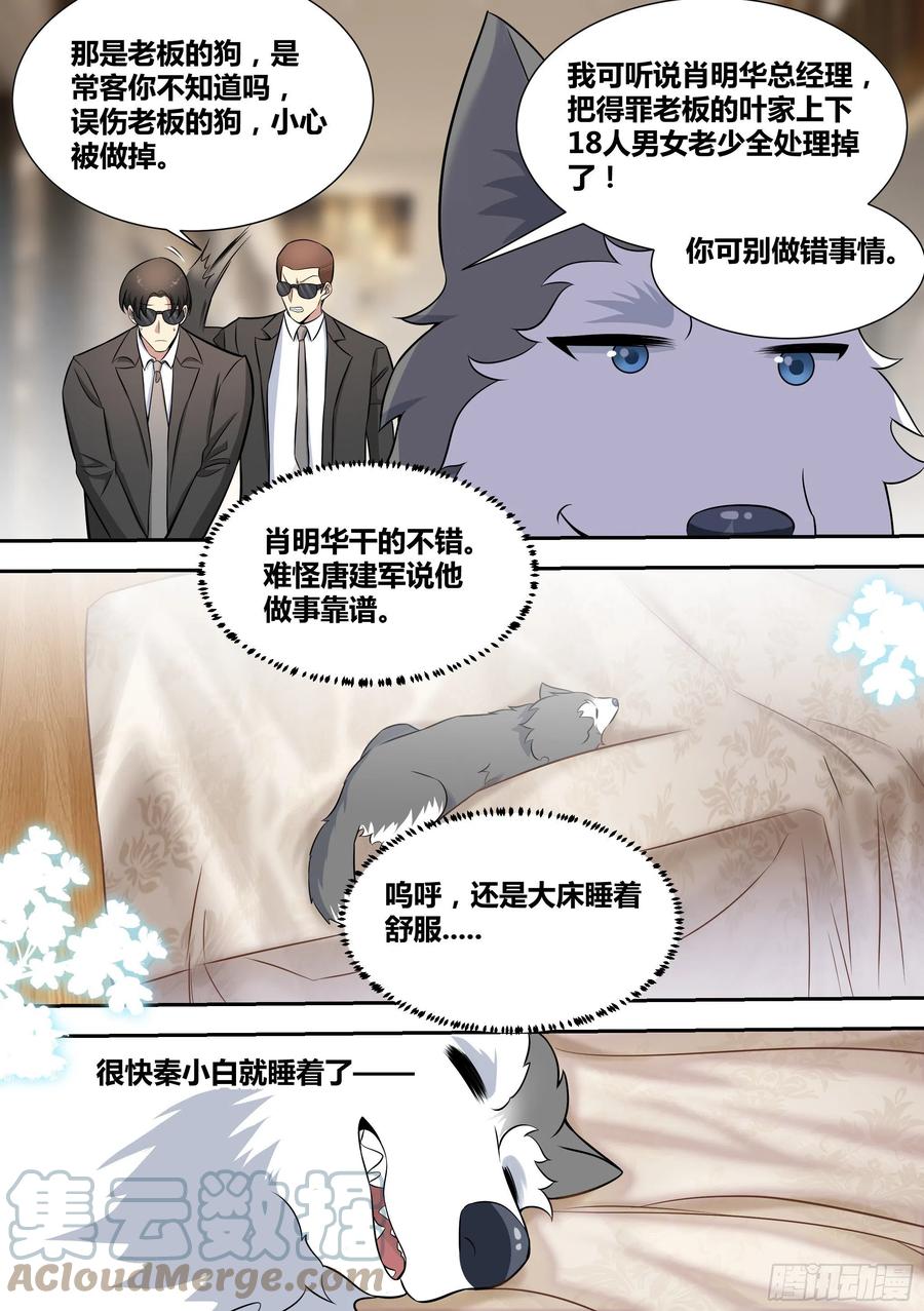 《直播：女神家的哈士奇天秀》72-糟老头子坏得很 第4页