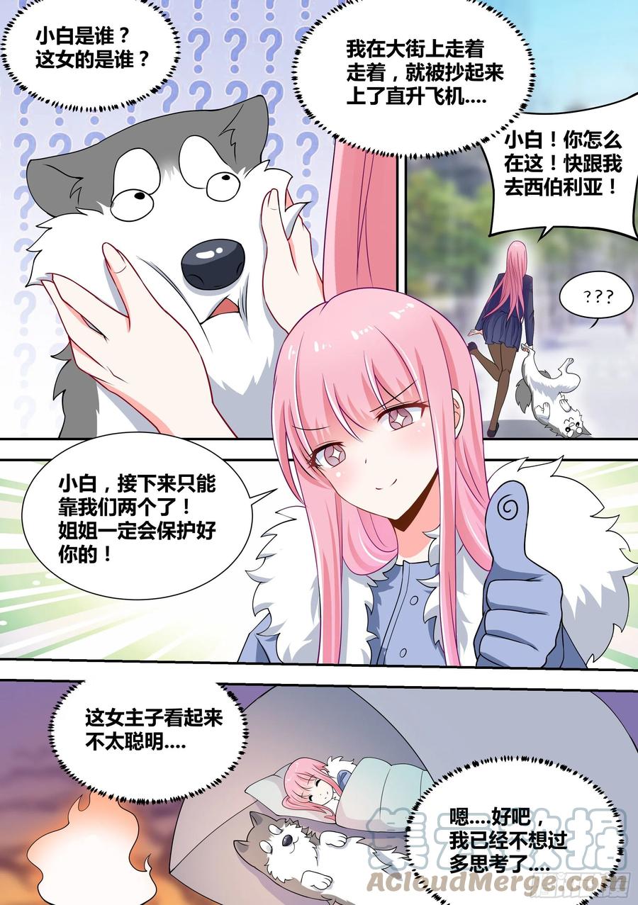 《直播：女神家的哈士奇天秀》73-我不是小白… 第3页