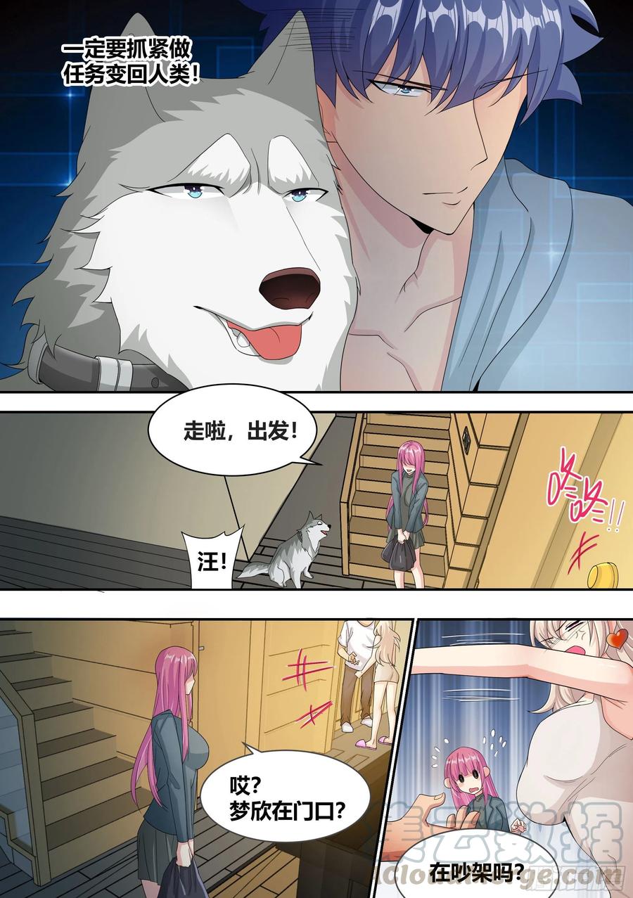 《直播：女神家的哈士奇天秀》7- 我也想直播“开车”嘛! 第17页