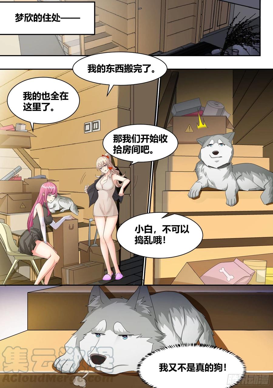 《直播：女神家的哈士奇天秀》7- 我也想直播“开车”嘛! 第7页