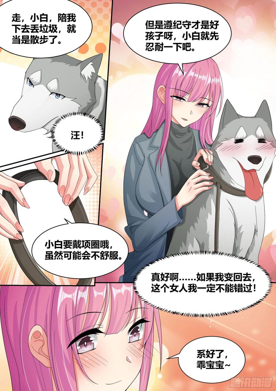 《直播：女神家的哈士奇天秀》7- 我也想直播“开车”嘛! 第16页
