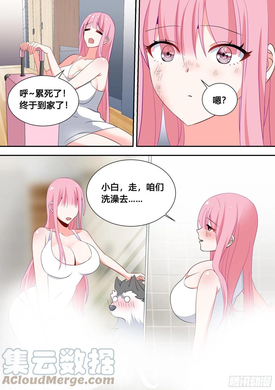 《直播：女神家的哈士奇天秀》81-给小白洗澡 第5页