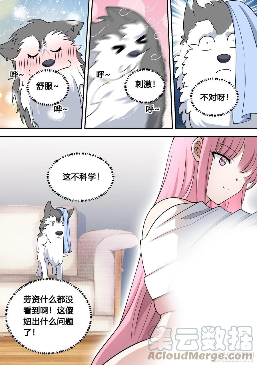 《直播：女神家的哈士奇天秀》81-给小白洗澡 第8页