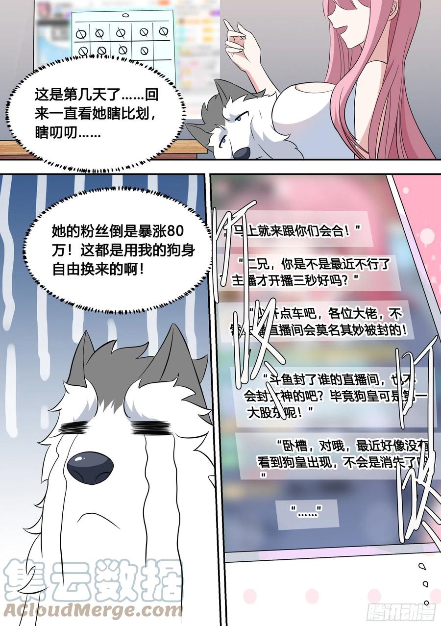 《直播：女神家的哈士奇天秀》81-给小白洗澡 第13页