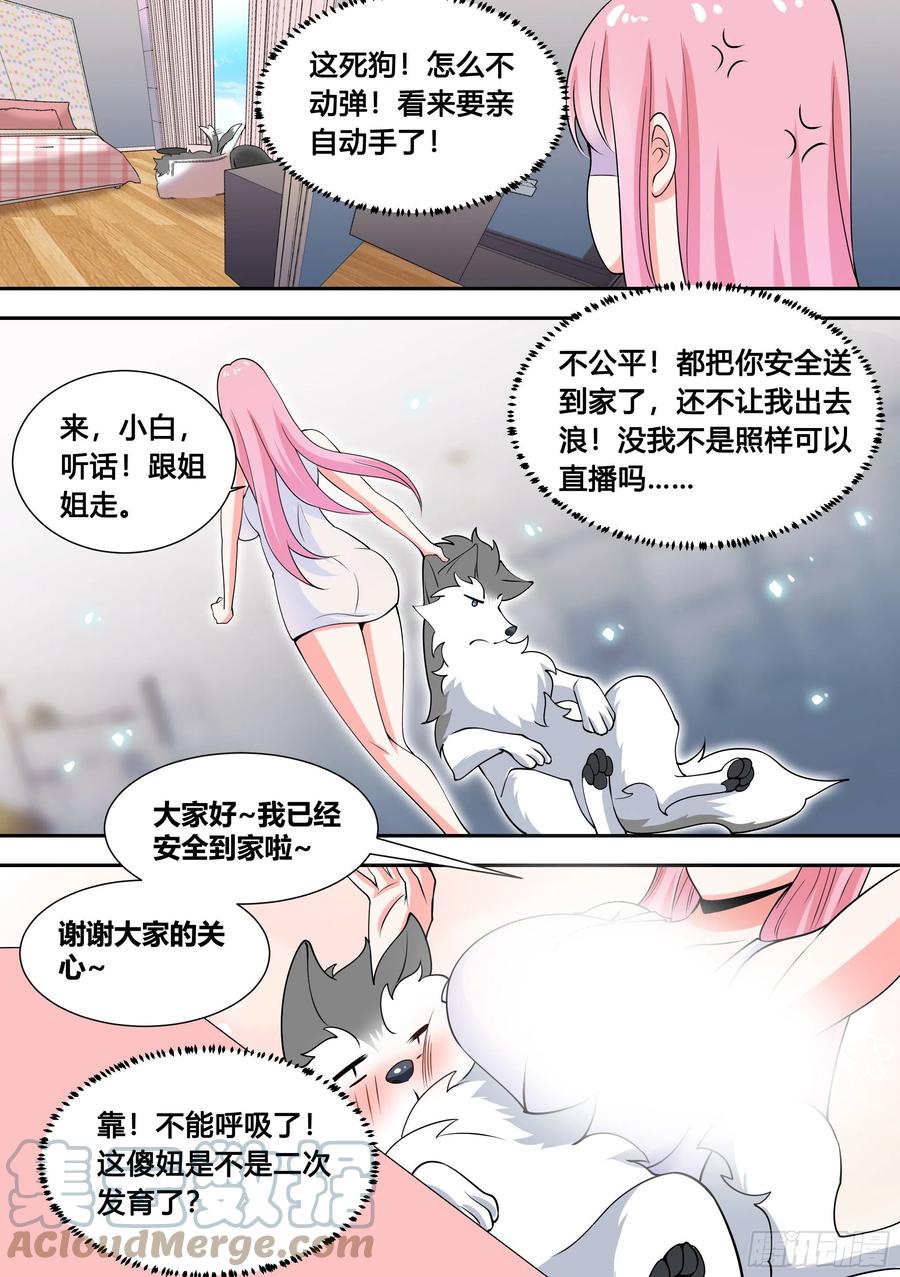 《直播：女神家的哈士奇天秀》81-给小白洗澡 第12页