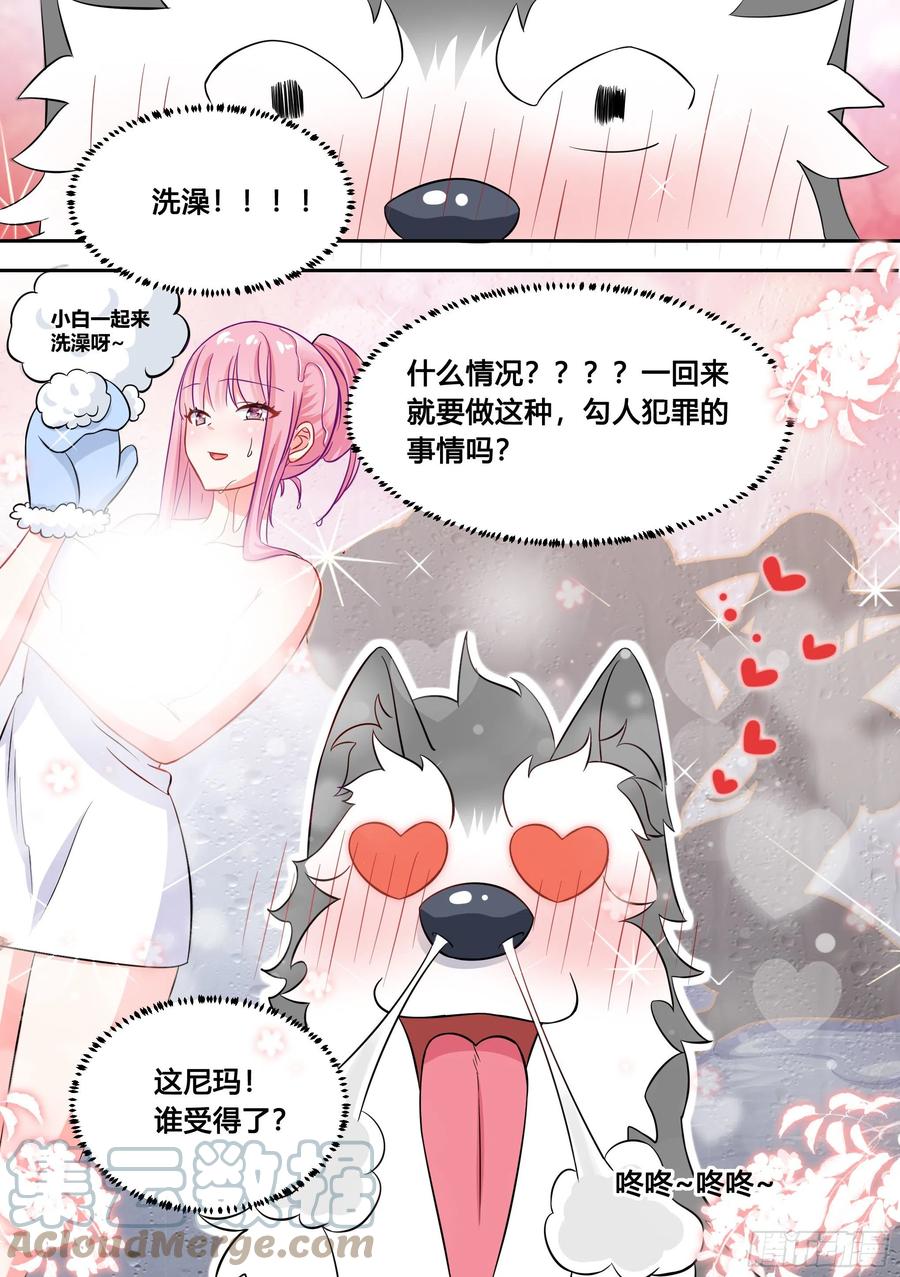 《直播：女神家的哈士奇天秀》81-给小白洗澡 第6页