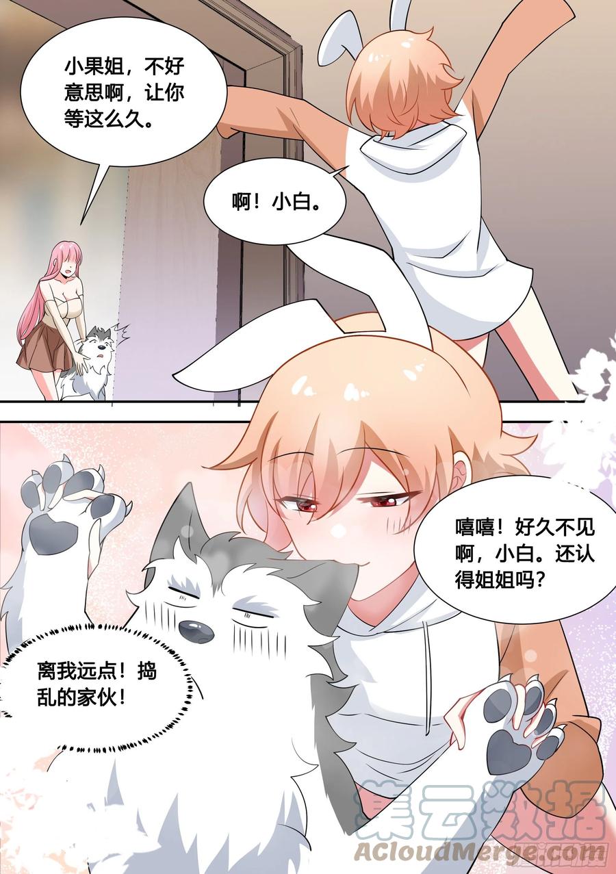 《直播：女神家的哈士奇天秀》86-我好像要上电视了 第9页
