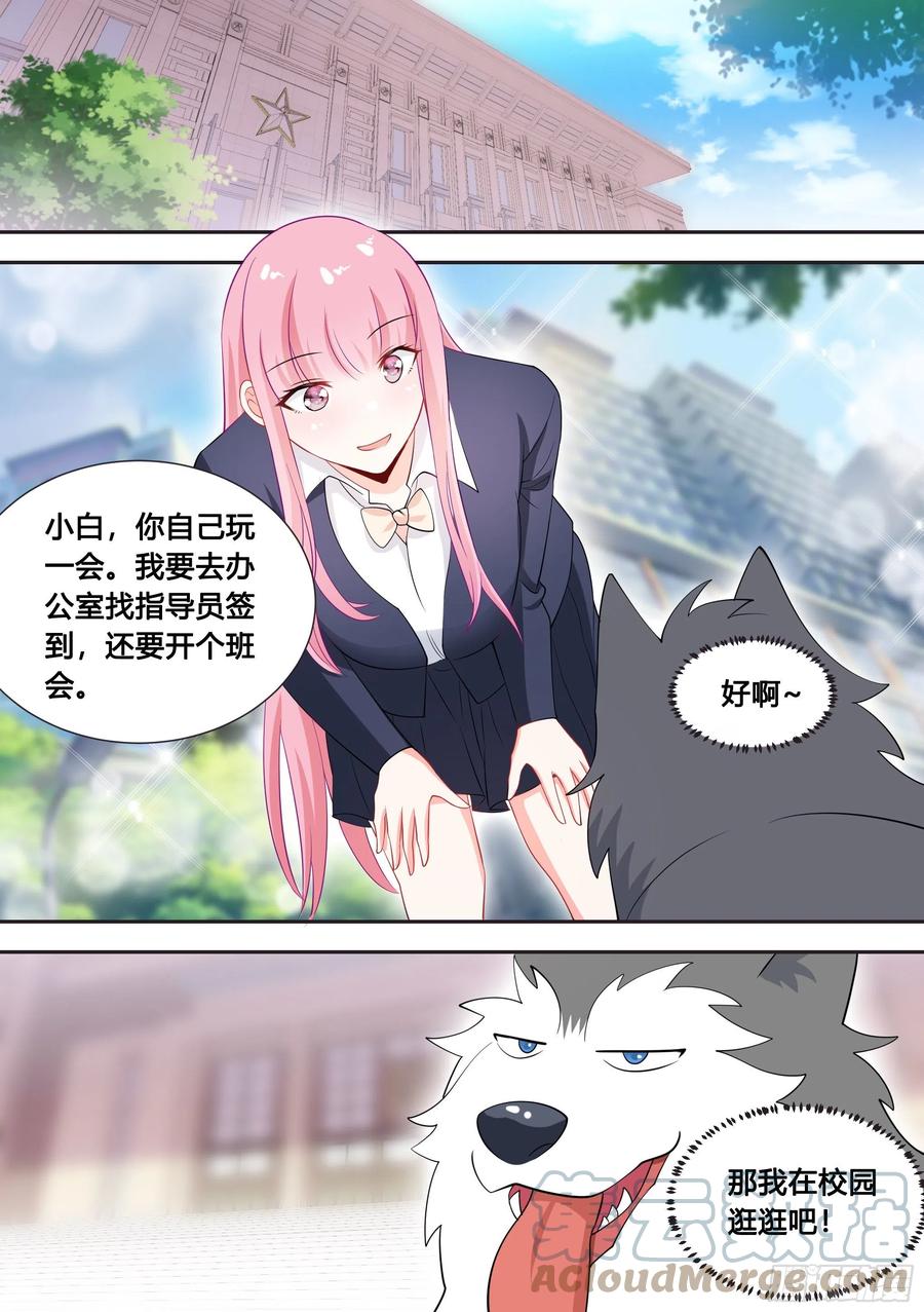 《直播：女神家的哈士奇天秀》87-二哈也要上学？ 第10页