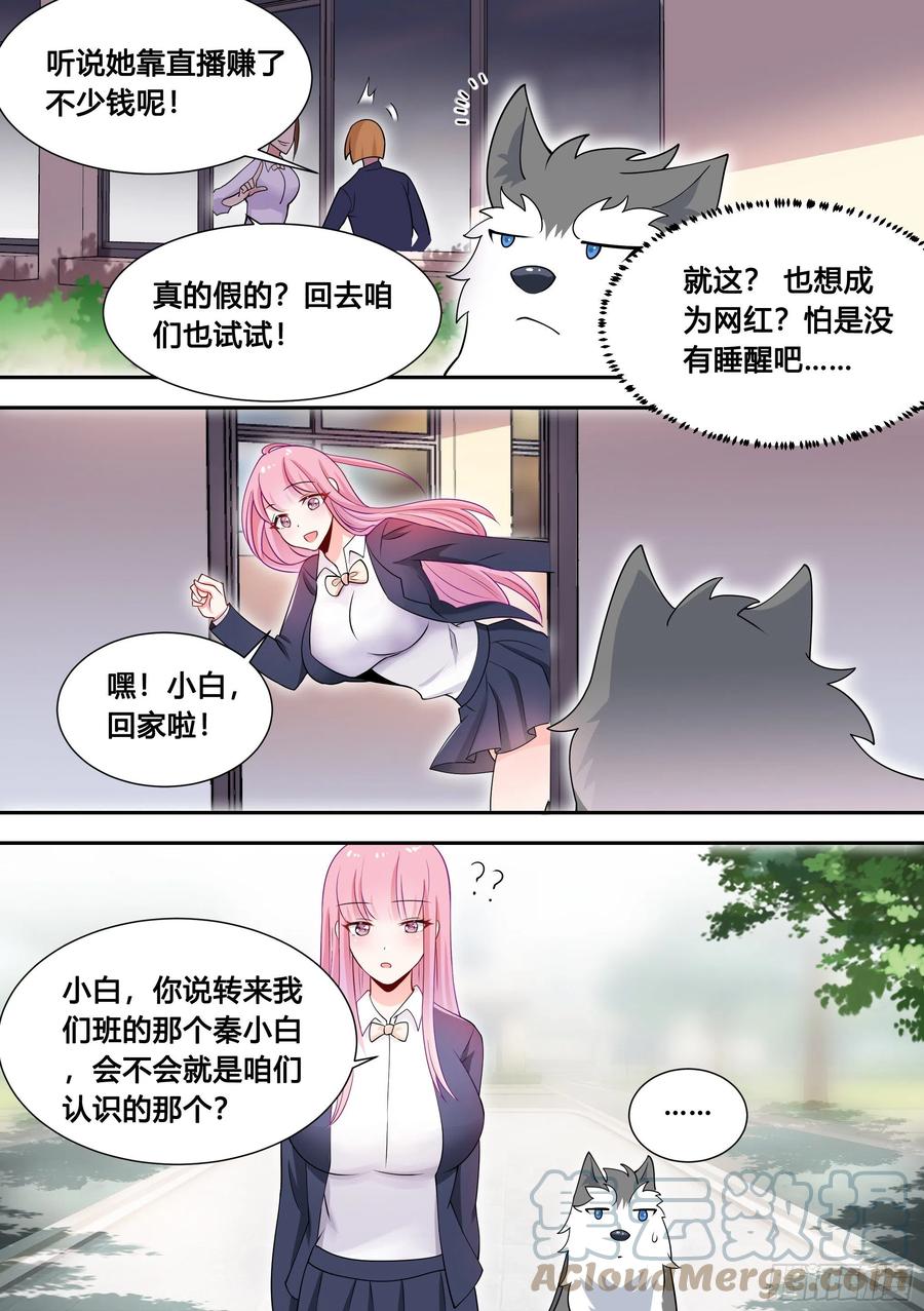 《直播：女神家的哈士奇天秀》89-人红是非多 第3页