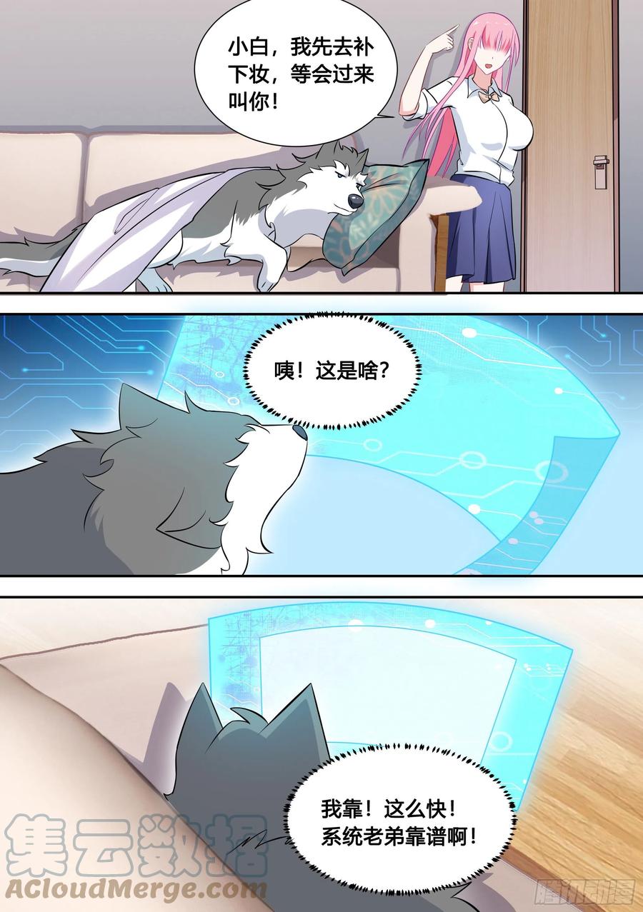 《直播：女神家的哈士奇天秀》89-人红是非多 第7页
