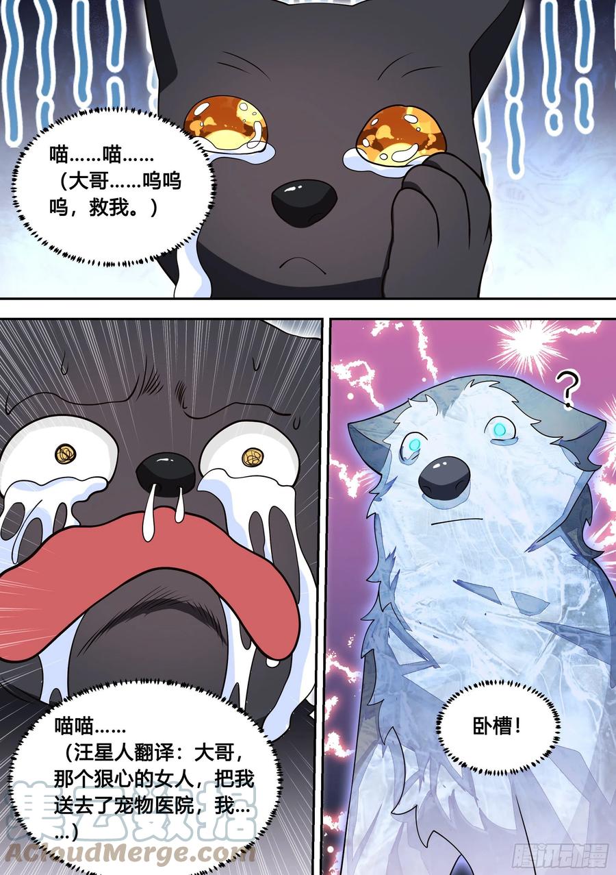 《直播：女神家的哈士奇天秀》95-这门亲事我不同意！ 第10页